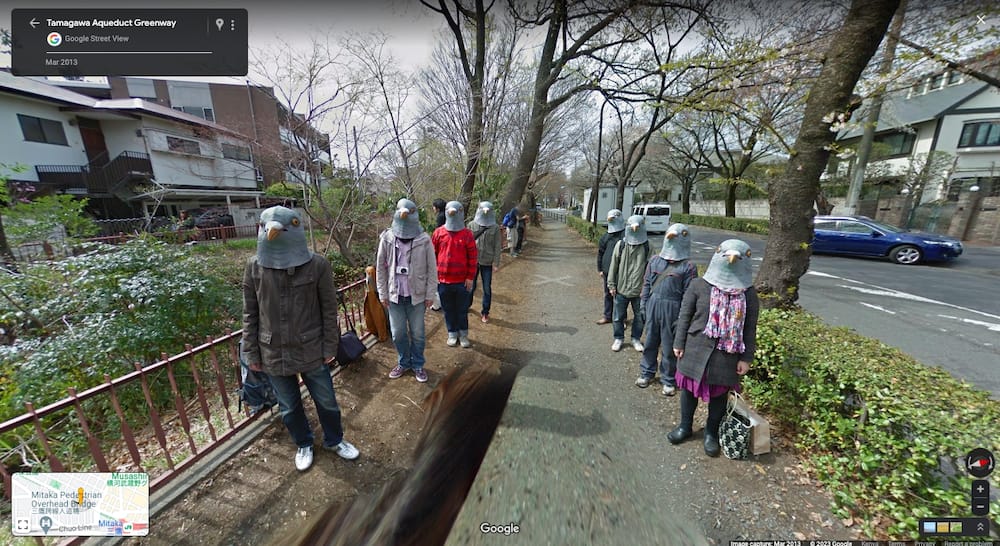 20 scary things caught on Google Maps (with photos) in 2023 - Tuko