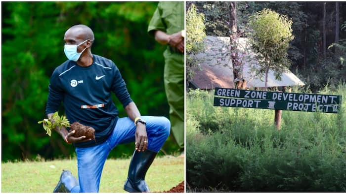 Eliud Kipchoge Contributes to Biodiversity Research, Calls for Unified Climate Action