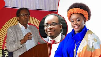Ahmednasir Abdullahi Warns Silas Jakakimba against Competing MP Millie Odhiambo in 2027: "Ni Chuma"