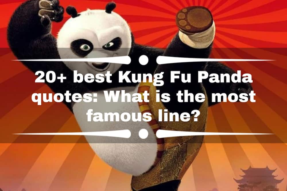 Kung Fu Panda quotes