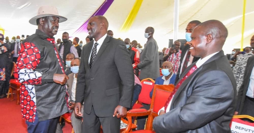 Usiweke siasa kwa roho: Picha za DP Ruto na Raila wakisemezana zazua mjadala