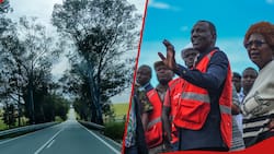 Govt Starts Cutting Down Eucalyptus Trees Along Nakuru-Eldoret Highway