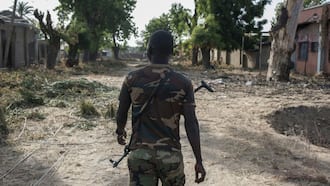 Nigerian town caught between jihadist war and peace