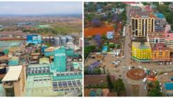 Thika: Interesting Details About The Town By Pineapple Farms and Home to Major Kenyan Factories