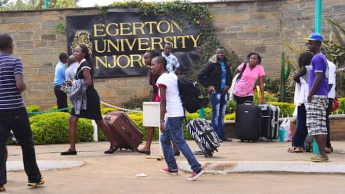 Court orders Egerton University to pay student KSh 250k for delaying graduation by over 4 years