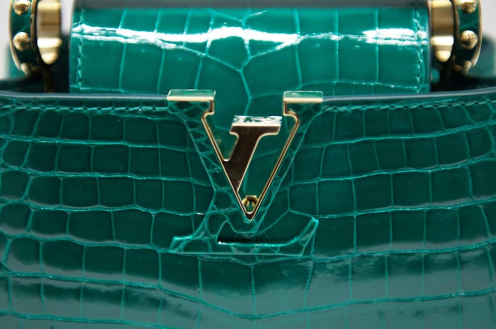Vuitton heir's apartment burgled in Paris 