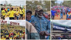2 Days to Election: George Wajackoyah’s Lookalike Gordon Owino Attends Azimio Rally