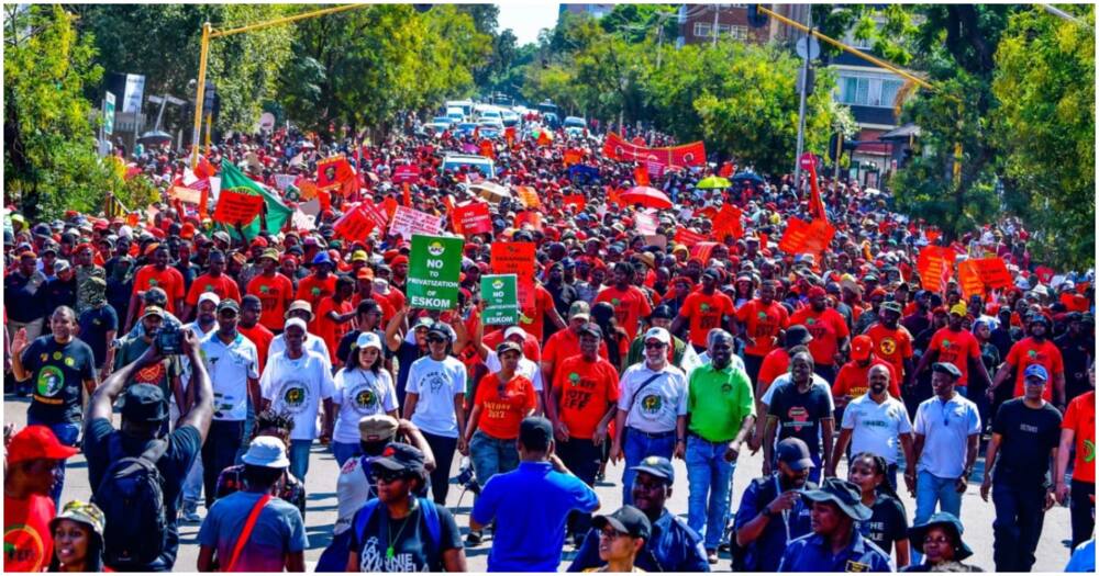 Julius Malema protests
