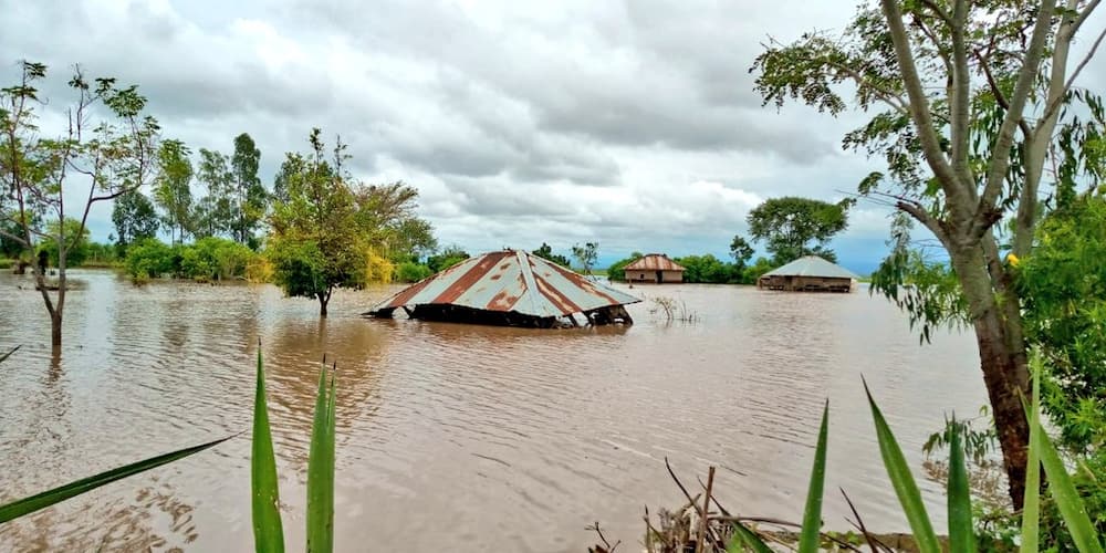 Kenya Red Cross.