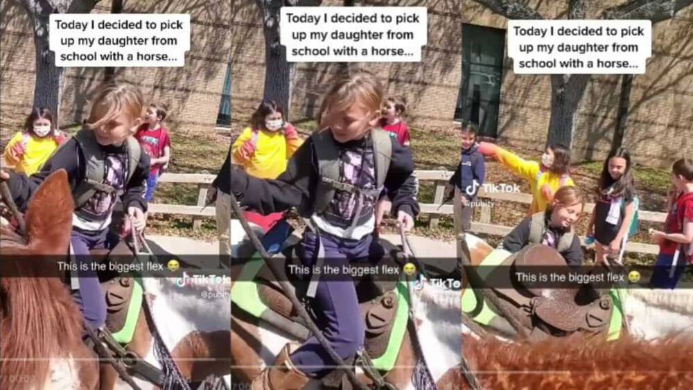 School girl climbs horse
