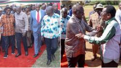 Oburu Oginga, James Orengo Accord William Ruto Warm Reception in Siaya