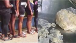Busia: Makahaba Walazimika Kutumia Tena Kondomu Zilizotupwa Kutokana na Uhaba