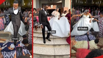 Uproar as Bride and Groom Step on Guests after Vows: "Halafu Waachane”