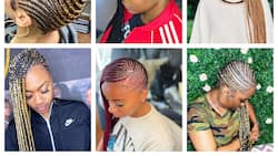 30 trendy lemonade tribal braids hairstyles for all seasons