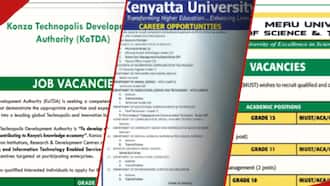 driver application letter in kenya