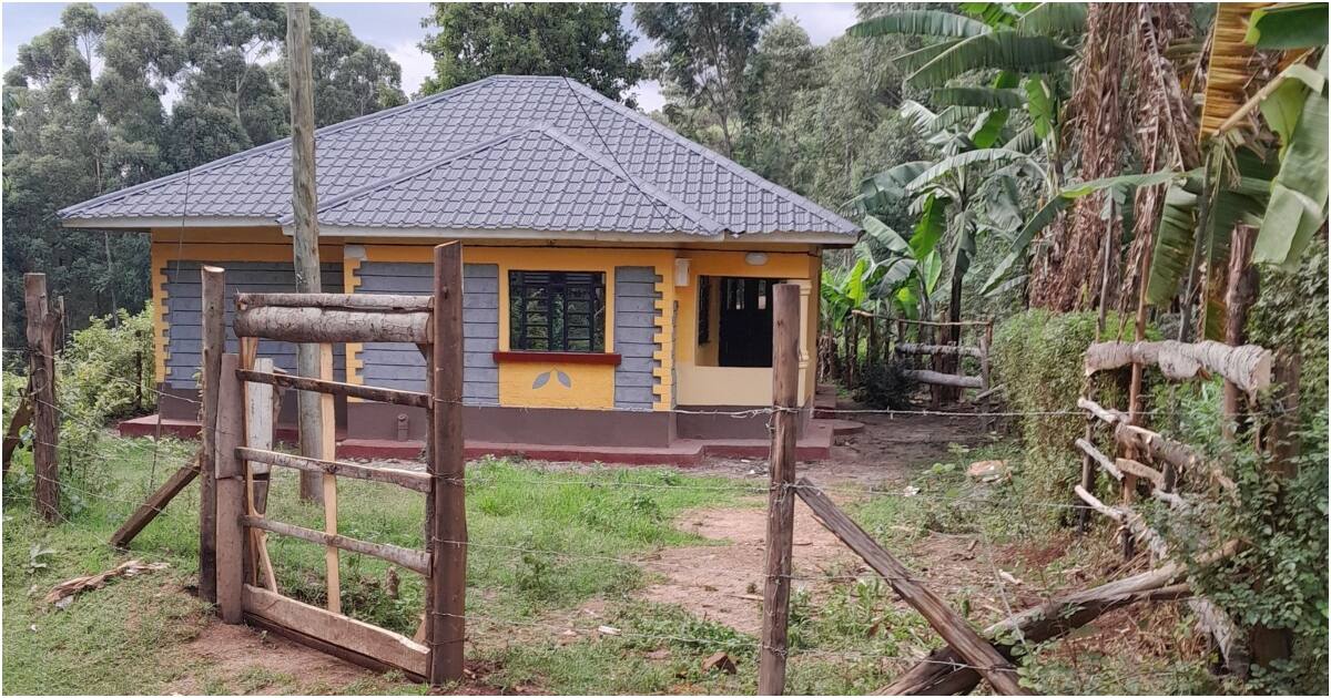 Nyamira Brothers Save KSh 2.5 Million To Build Their Widowed Mum ...