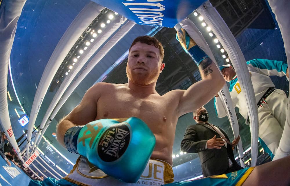 Canelo Alvarez's net worth: How much does Canelo make? Updated career  earnings