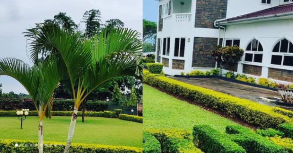 Akothee shows off high end, freshly manicured compound in Rongo