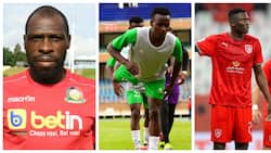Michael Olunga and 3 Other Key Harambee Stars Players to Watch Ahead of Egypt Showdown