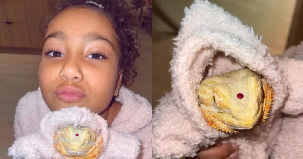 Kim Kardashian's daughter North West gets matching outfits with pet lizard