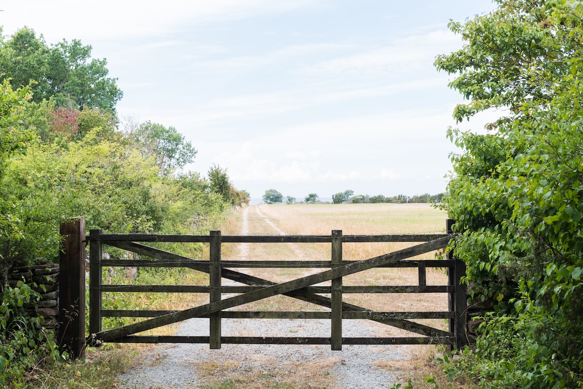 100-romantic-farm-names-that-are-cute-catchy-and-unique-tuko-co-ke