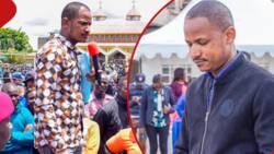 Subversive Activities: Meaning, Prescribed Sentence for Charges Levelled Against Babu Owino