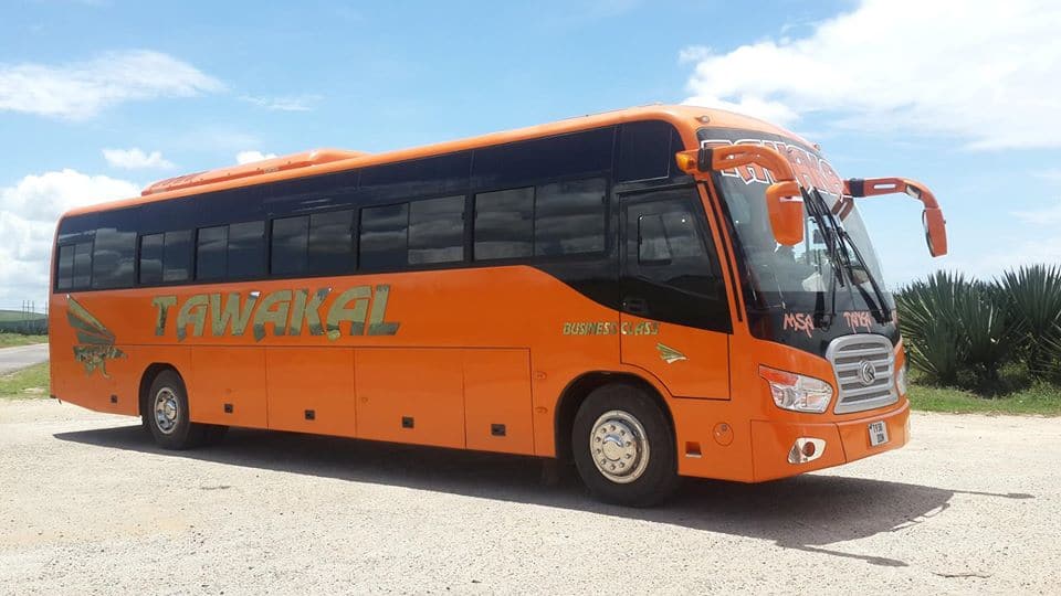 48 passengers narrowly escape unhurt after bus overturns on Lamu-Mombasa road