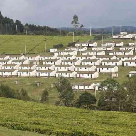 Kericho County avatar