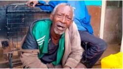 Kenyans Sympathise with 60-Year-Old Murang'a Man Who Lost KSh 700k in 1 Week: "Heartless People"