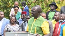 William Ruto Promises to Increase County Allocation to 35% Like Proposed in BBI
