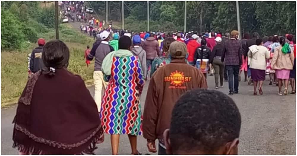 Sagana 3: Hundreds of Jubilee Supporters Arrive at State Lodge Ahead of Uhuru's Meeting