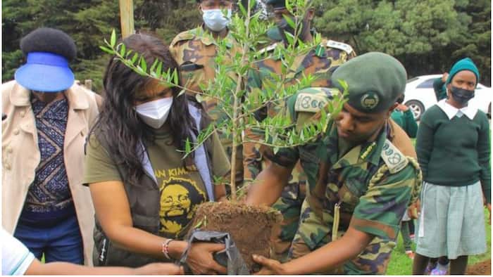 Kenyans Must Plant Trees to Mitigate Effects of Climate Change and Save Their Motherland
