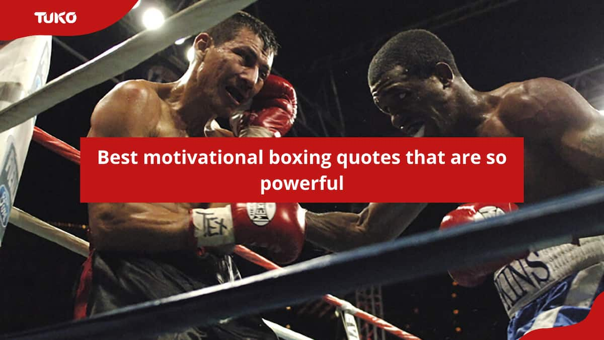 50+ Best Motivational Boxing Quotes That Are So Powerful - Tuko.co.ke