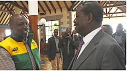 Photo of William Ruto, Raila Odinga Shaking Hands at Windsor Hotel Sparks Reactions: "They're Friends"