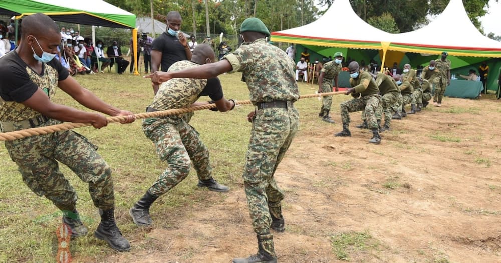 Kenya Power said NYS will read its pre-paid and post-paid meters.