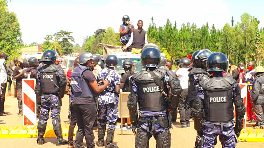 Uganda elections: Journalists Joel Ssenyonyi, Agnes Nandutu and 3 others elected to parliament