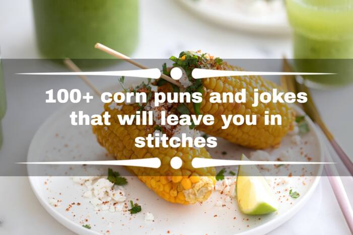 corn maze quotes