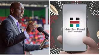 Hustler Fund: William Ruto Unveils New Product Allowing Businesses to Borrow Up to KSh 1m