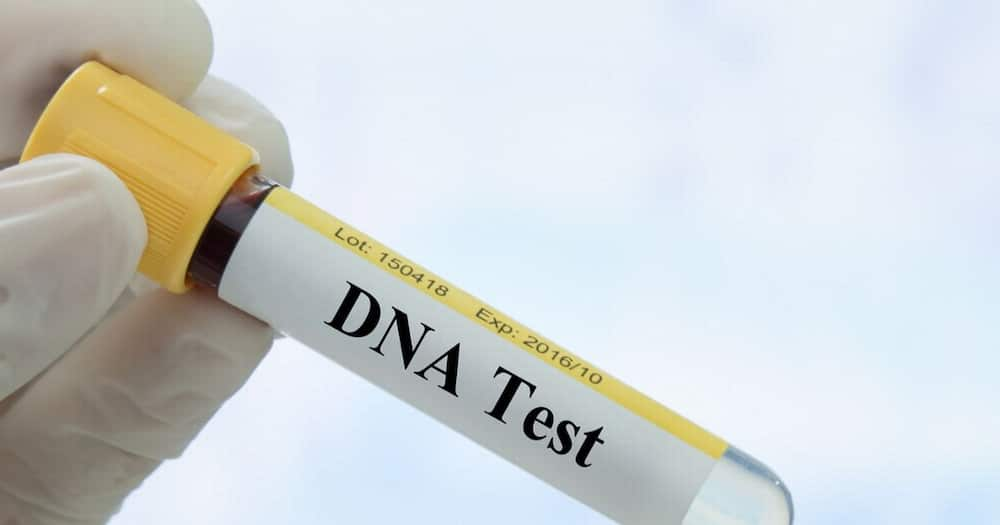 DNA test kit