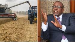 Agriculture CS Mithika Linturi Holds Talks with Ukrainian Counterpart Markiyan Dmytrasevich Over Food Security