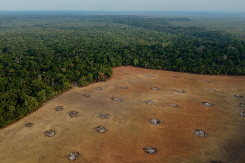 Deforestation in Brazil's Amazon rainforest increased 75 percent under far-right President Jair Bolsonaro