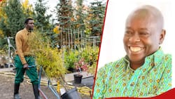 Rigathi Gachagua's Gardener Promoted to KSh 200k Job for Impeccable Landscaping Skills