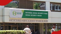 NSSF Announces 336 Vacancies for Kenyans, Some With Minimum Qualification of KCSE Certificate