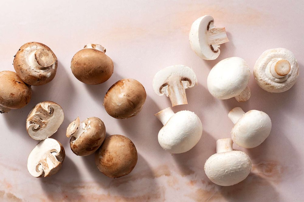 Types of mushrooms