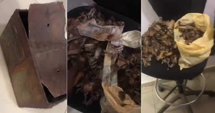 Man discovers his money has decayed, piggy box