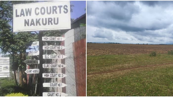 Nakuru: EACC in Court to Recover 1136 Acres of Land Worth KSh 1.6b Belonging to Egerton University