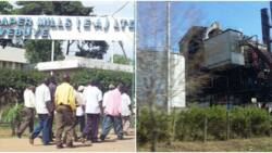 Webuye: Sad Tale of Former Pan Paper Mills Employees Languishing in Poverty