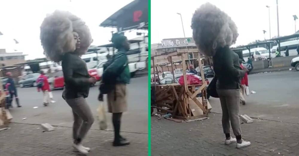 Peluquero afro gigante se asa en divertido video de TikTok: ‘Cotton Candy’