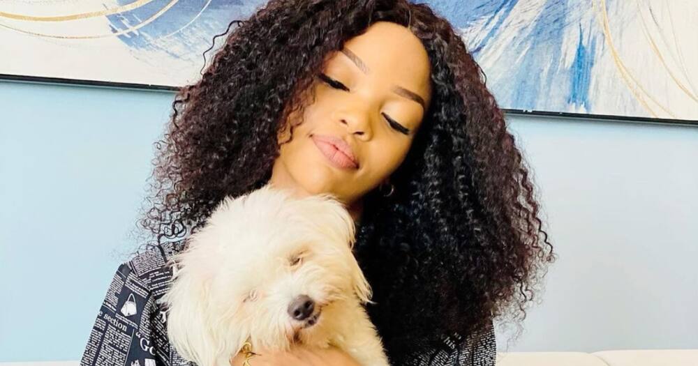 Wema Sepetu Offers KSh 95k Reward for Her Lost Celebrity Dog Vanilla