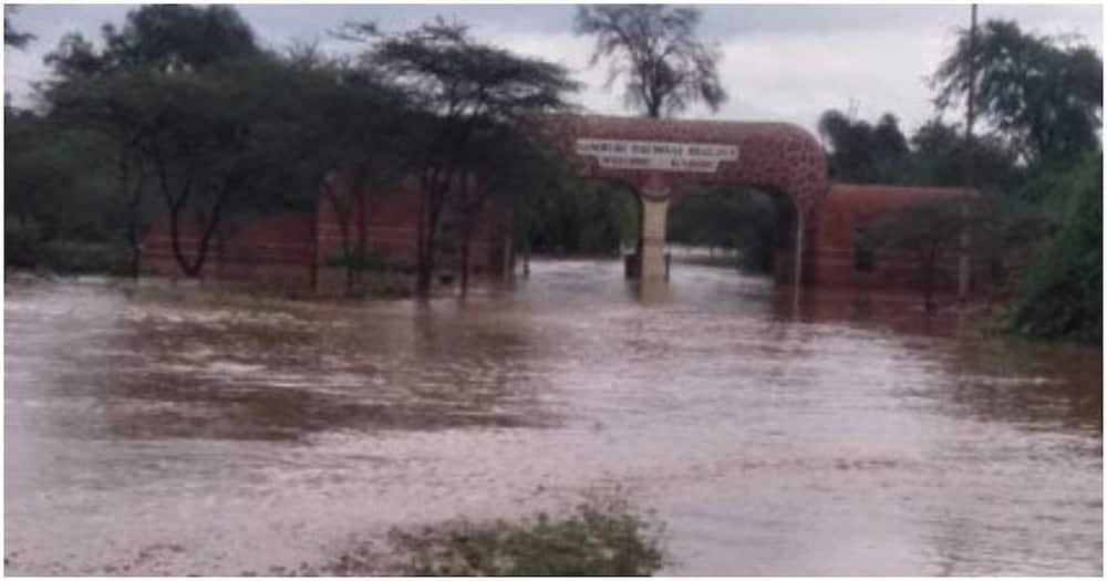 Dozens of tourists evacuated, properties destroyed after river Ewaso Nyiro burst its banks